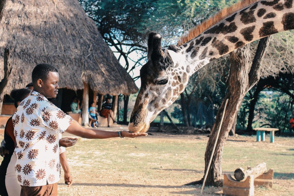 Uganda Safari Lodges